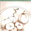 Apples,2006,28x40,ink
