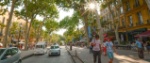 One of the famous avenues in Aix-en-Provence