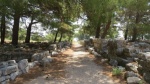 Priene