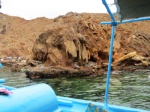 Boat tour in the fjords of Masandam